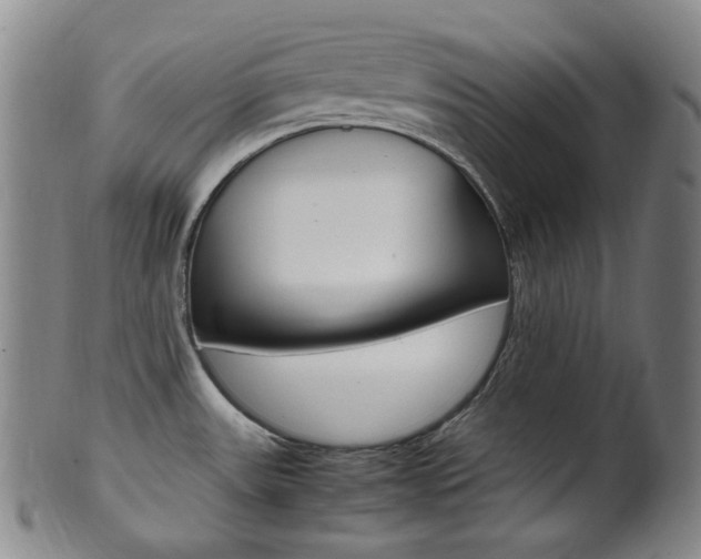 X0000101661531200807101012
