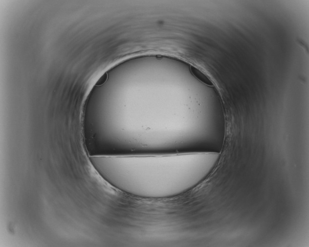 X0000101661532200807101012