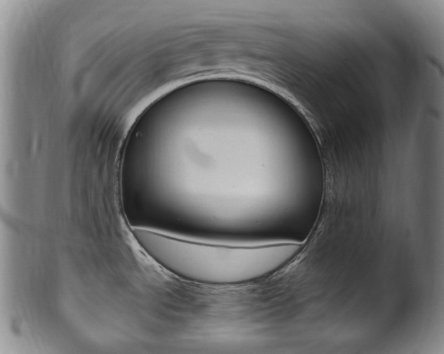 X0000101661534200807101012