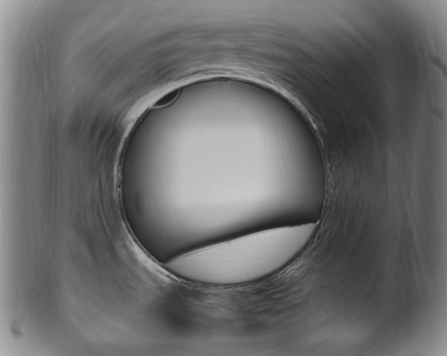 X0000101661535200807101012