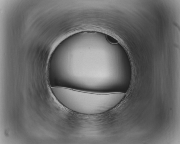 X0000101661536200807101012