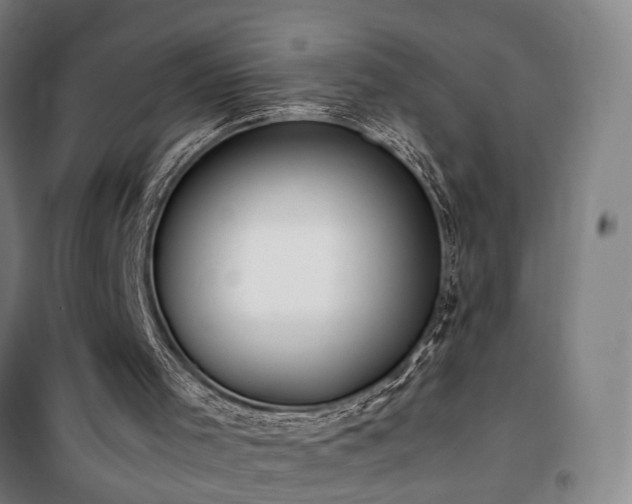 X0000101660001200807101305