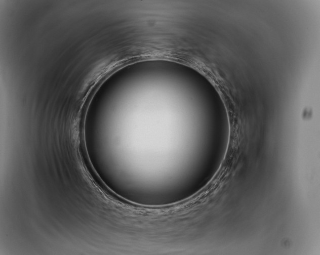 X0000101660002200807101305