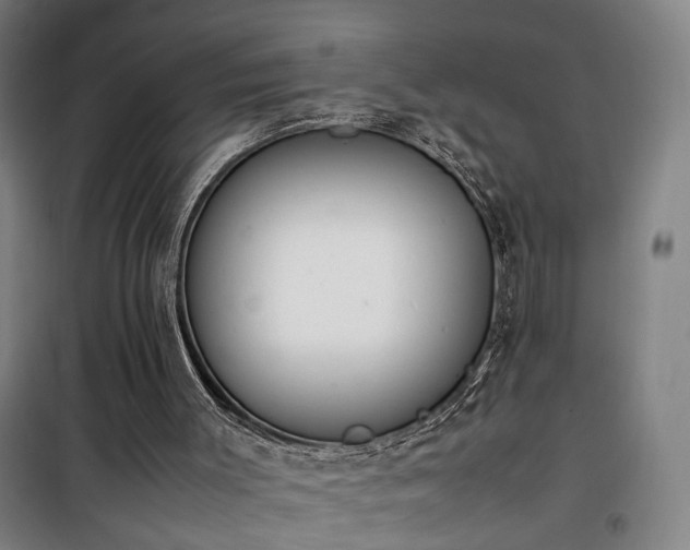 X0000101660003200807101305