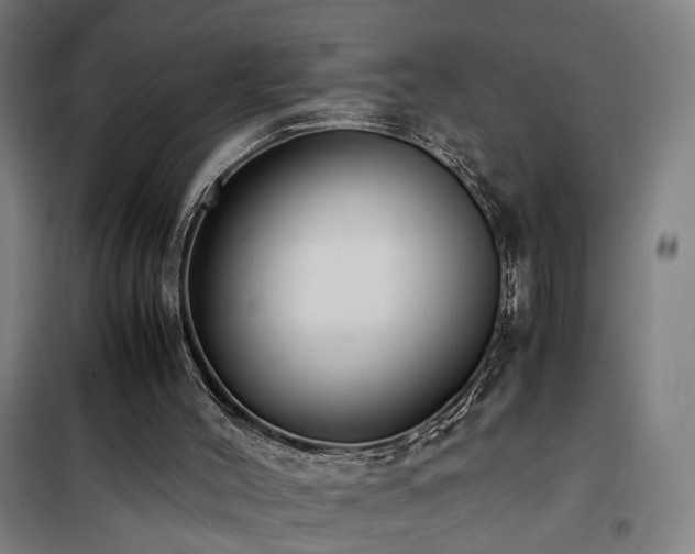 X0000101660004200807101305