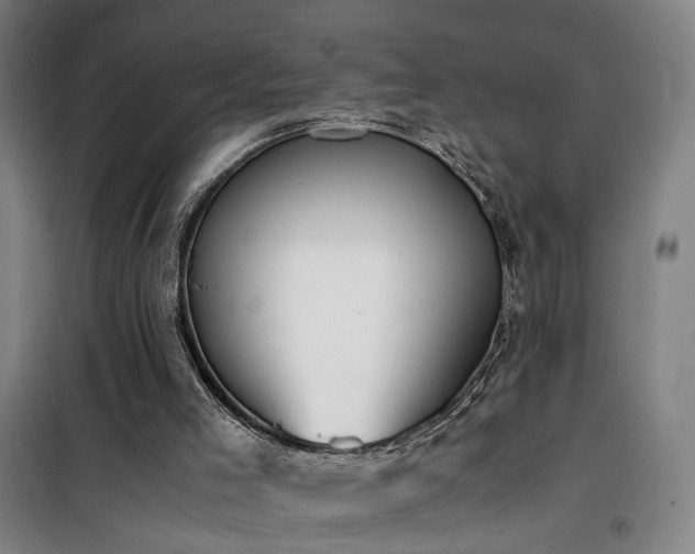 X0000101660005200807101305