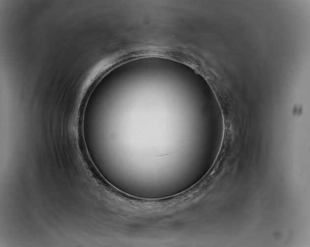 X0000101660006200807101305