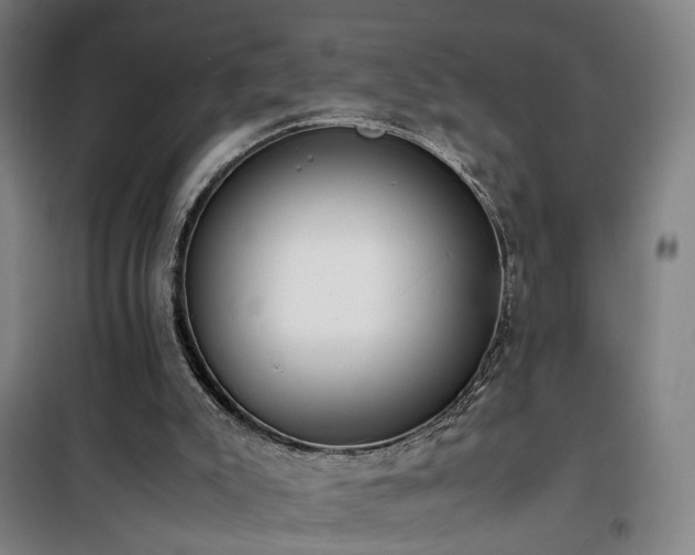 X0000101660007200807101305