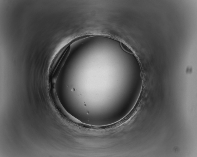 X0000101660008200807101305