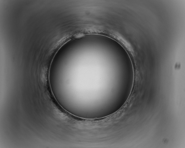 X0000101660009200807101305