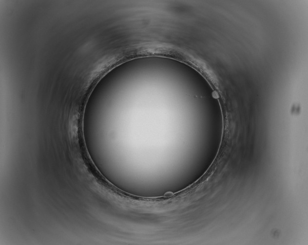 X0000101660010200807101305