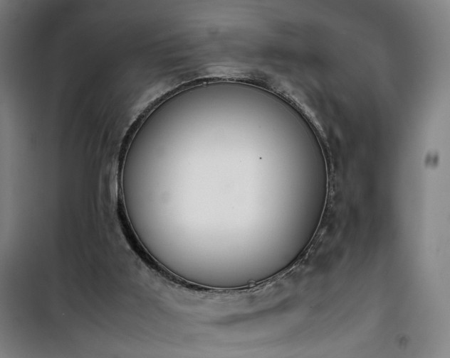 X0000101660011200807101305