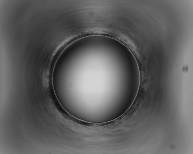 X0000101660012200807101305