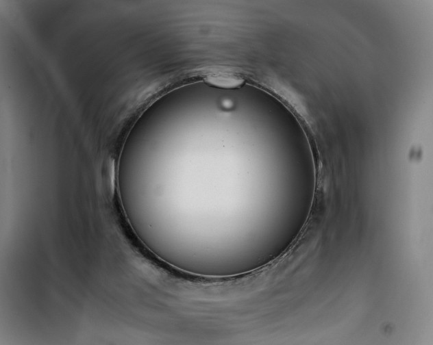 X0000101660013200807101305