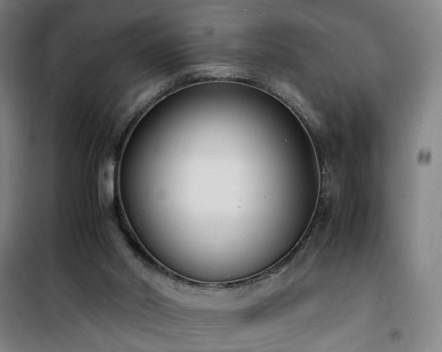 X0000101660014200807101304