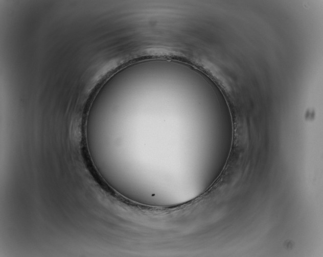 X0000101660015200807101304