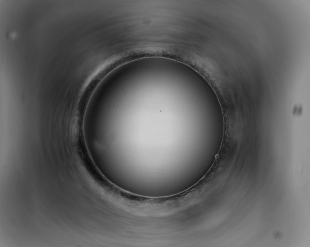 X0000101660016200807101304