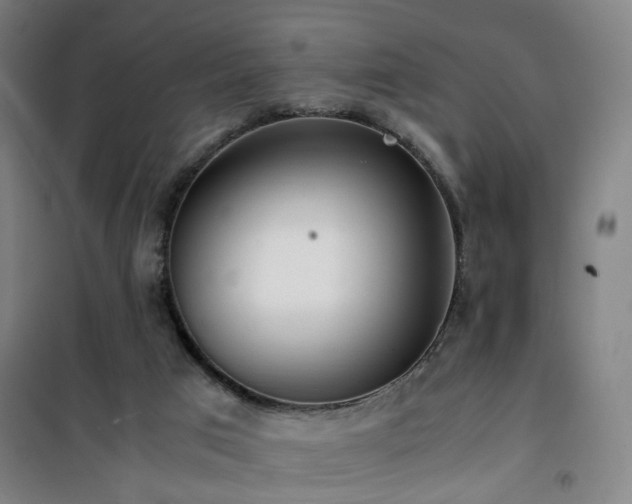 X0000101660017200807101304