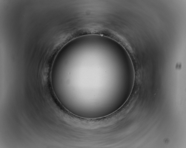 X0000101660018200807101304