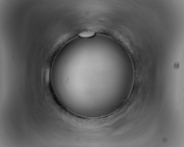 X0000101660019200807101304