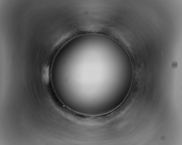 X0000101660020200807101304