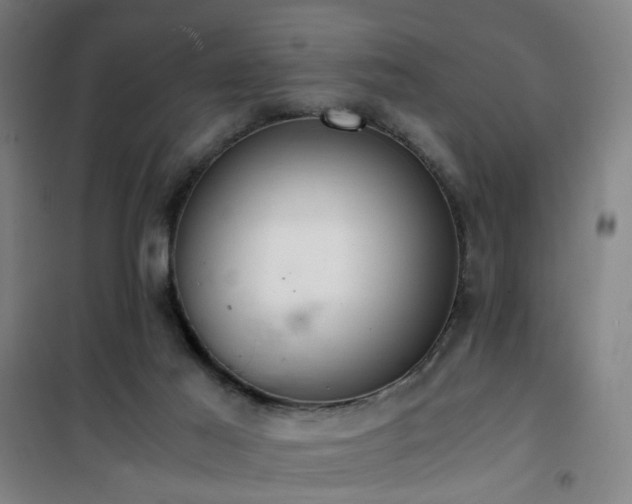 X0000101660021200807101304