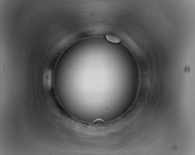 X0000101660022200807101304