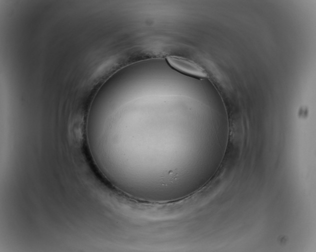 X0000101660023200807101304