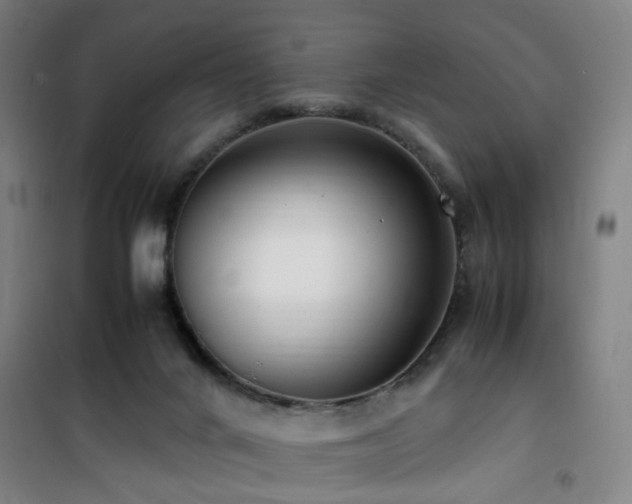 X0000101660024200807101304