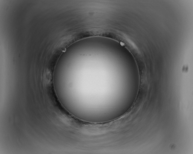 X0000101660025200807101304