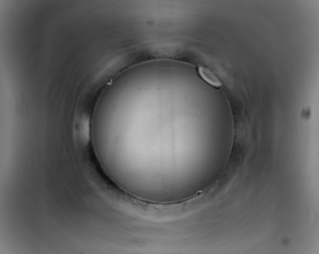 X0000101660027200807101304