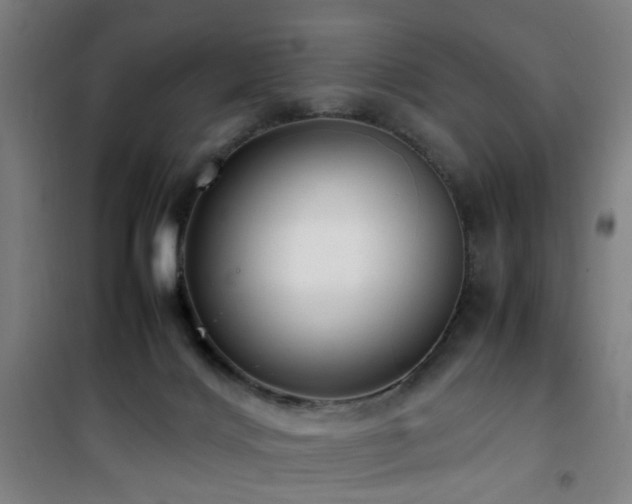 X0000101660028200807101304