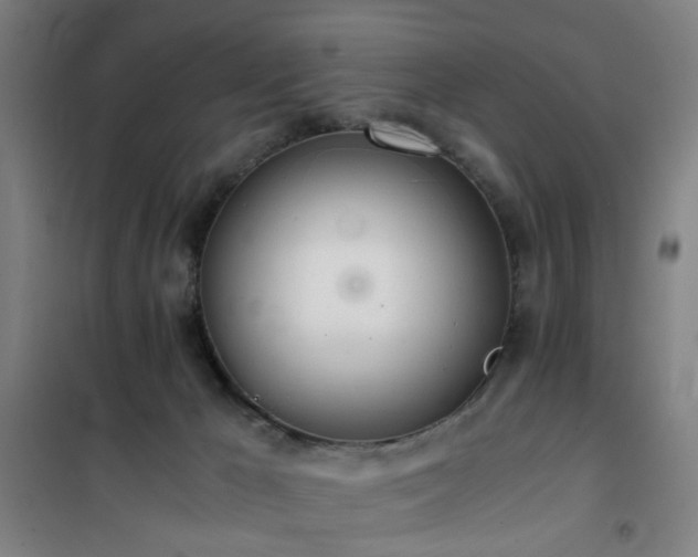 X0000101660029200807101304