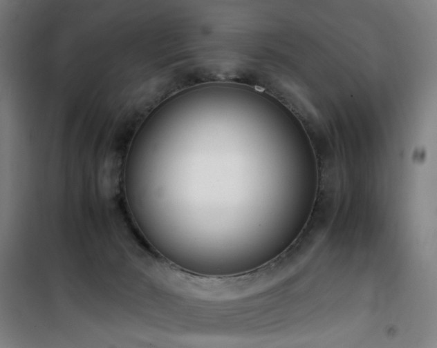 X0000101660030200807101304