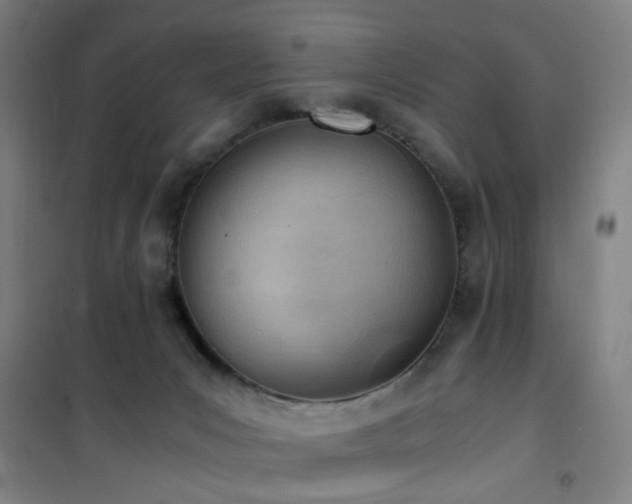 X0000101660031200807101304