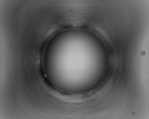 X0000101660032200807101304