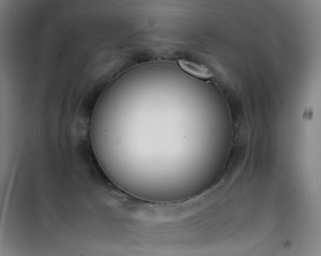 X0000101660033200807101304