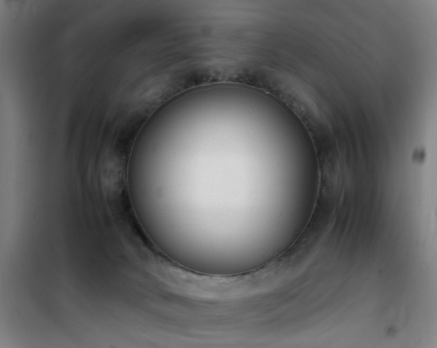 X0000101660034200807101304