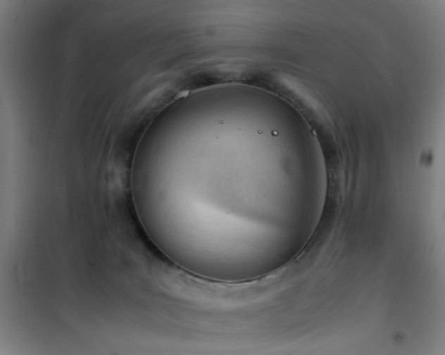 X0000101660035200807101304