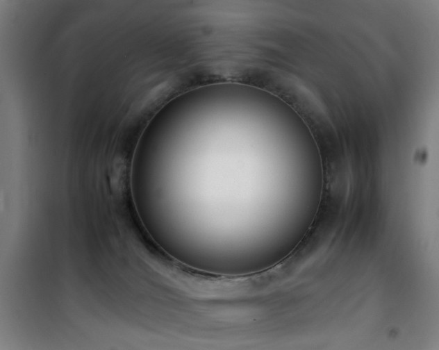 X0000101660036200807101304