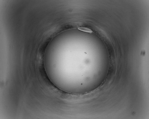 X0000101660037200807101304