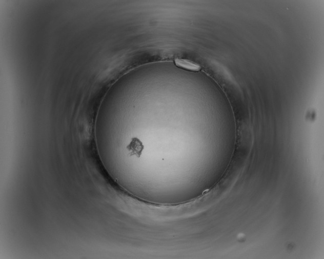 X0000101660039200807101304