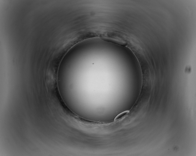 X0000101660040200807101304