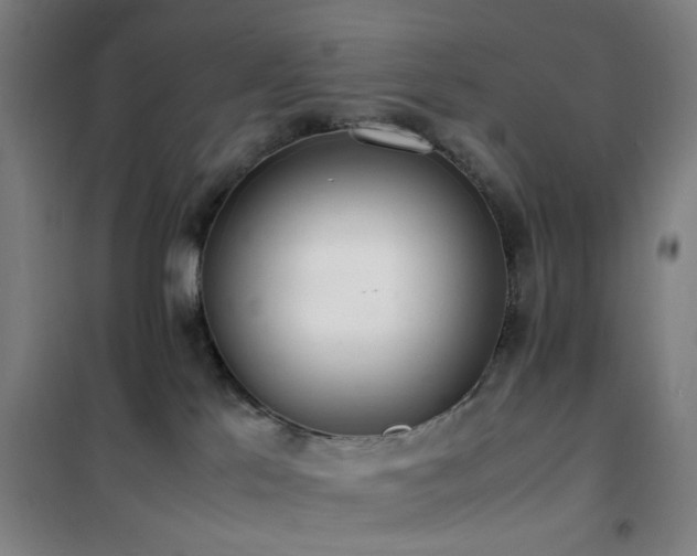 X0000101660041200807101304