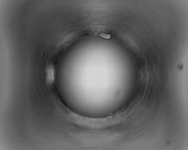 X0000101660042200807101304