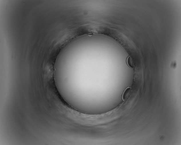 X0000101660043200807101304