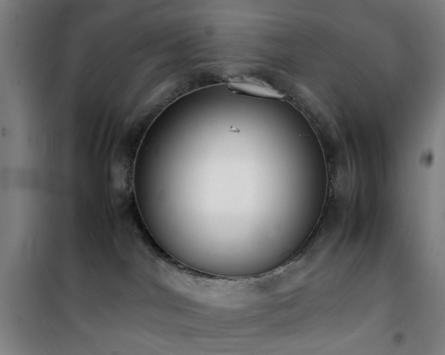 X0000101660044200807101304