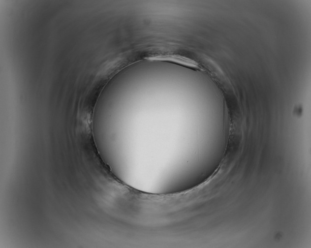 X0000101660045200807101304