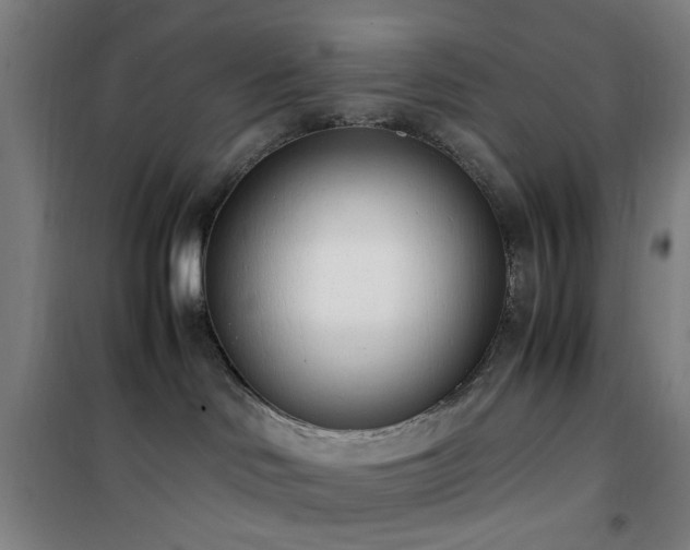 X0000101660046200807101304