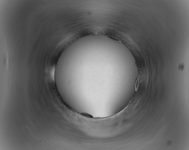 X0000101660047200807101304